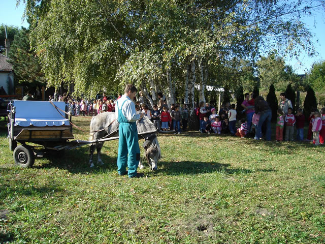 allatok_napja 011